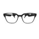 Smart Glasses